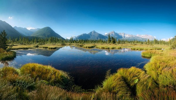 Voyage écologique : découvrez des expériences authentiques et responsables