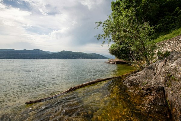 La révolution analytique en basketball
