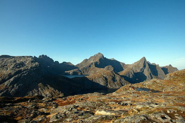 Comment une application de fitness peut améliorer votre performance sportive