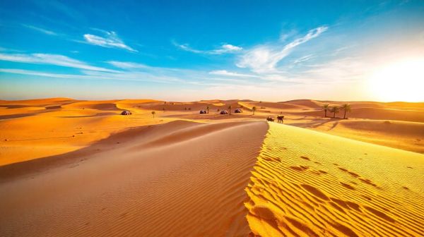 Les tendances e-tourisme en Algérie : un panorama dévoilé